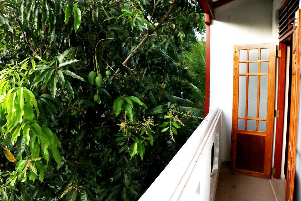 The Cool Nest Yala Hotel Tissamaharama Exterior foto